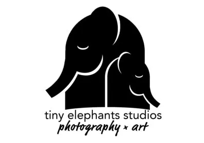 tiny-elephants-logo