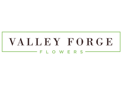 valley-forge-logo