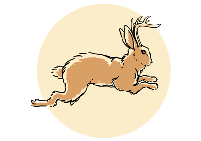 logo-not-so-cavalier